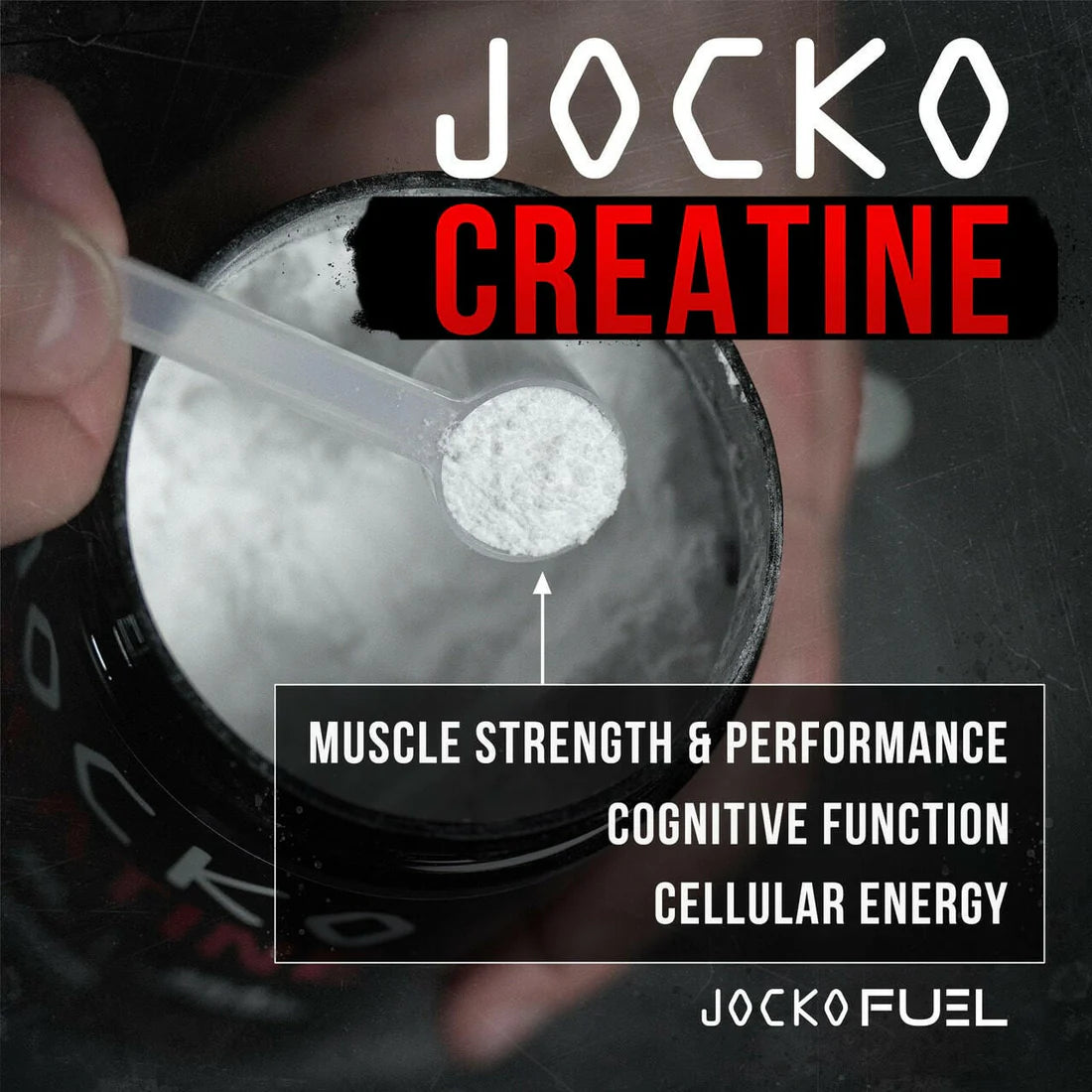 JOCKO CREATINE STICKS
